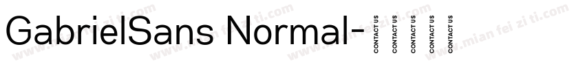 GabrielSans Normal字体转换